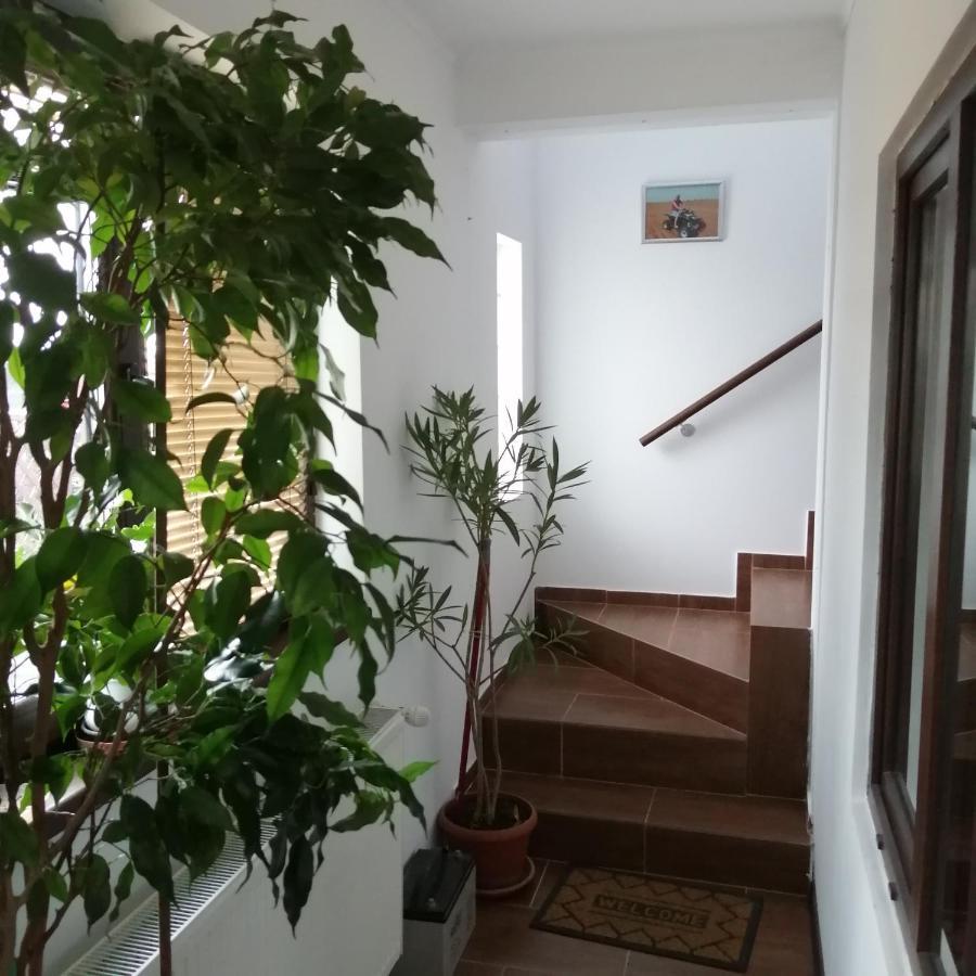 Villa 38 Silviu Apartment بوخارست المظهر الخارجي الصورة